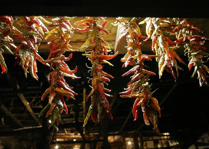 Kruchma Bratyata Guest house Kovacevica